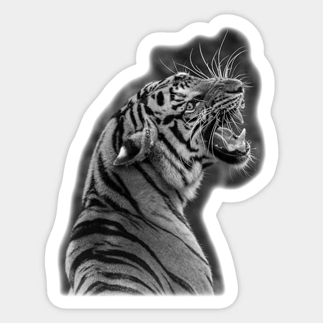 Roaring Tiger Sticker by julyperson